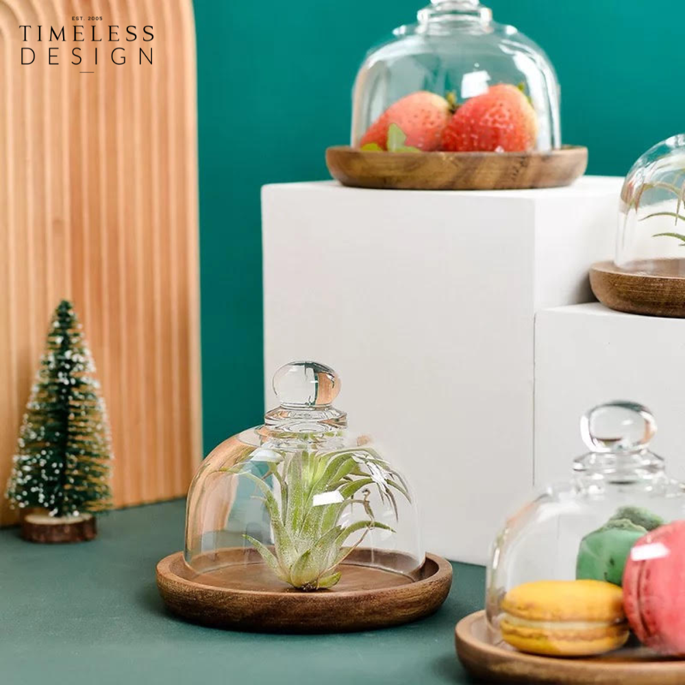 Tessa Dessert Plate With Glass Cover