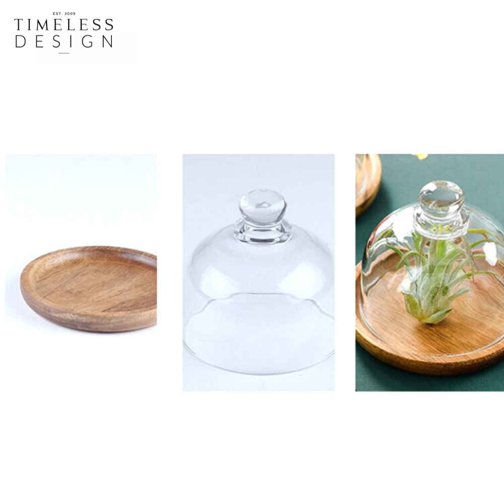 Tessa Dessert Plate With Glass Cover